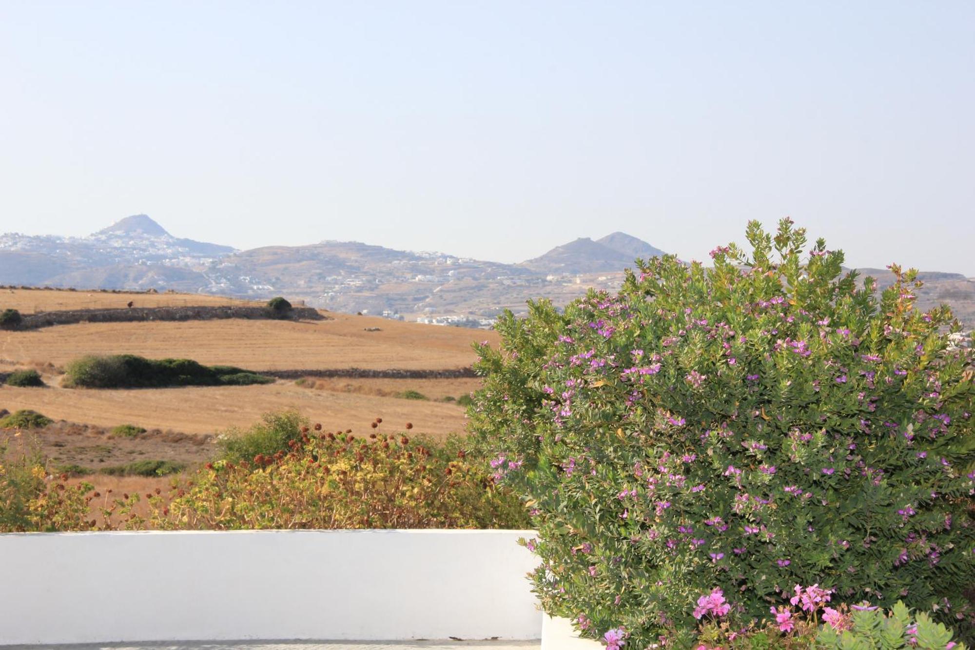 Margaritari Studios Milos Adamantas  Rum bild